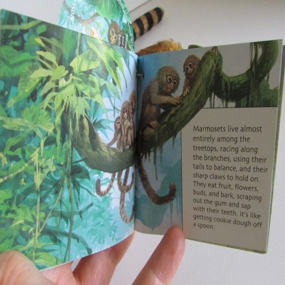 PYGMY MARMOSET MONEY 11" long total BENDABLE TAIL HOOK/LOOP PAWS Stuffed Animal - Picture 10 of 14